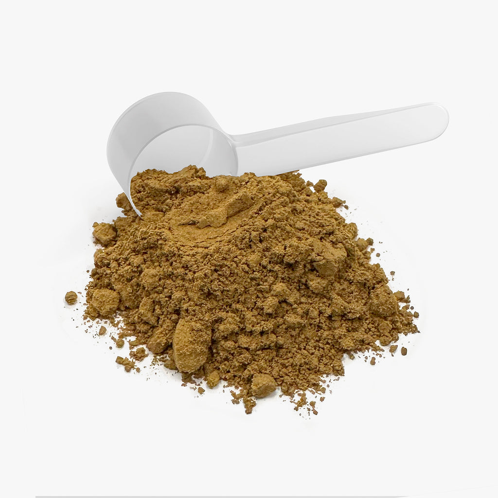 AL MAJID 1965 Instant Mushroom Coffee | Organic Lion’s Mane & Chaga (Medium Roast)